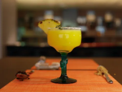 프리미어 인 도하 에어포트 호텔 도하 호텔