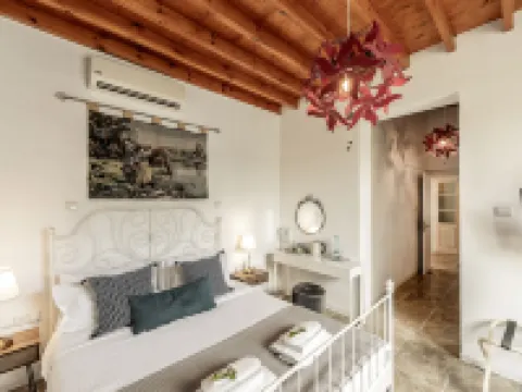 إديم تراديشيونال هاوس فنادق في لارنكا