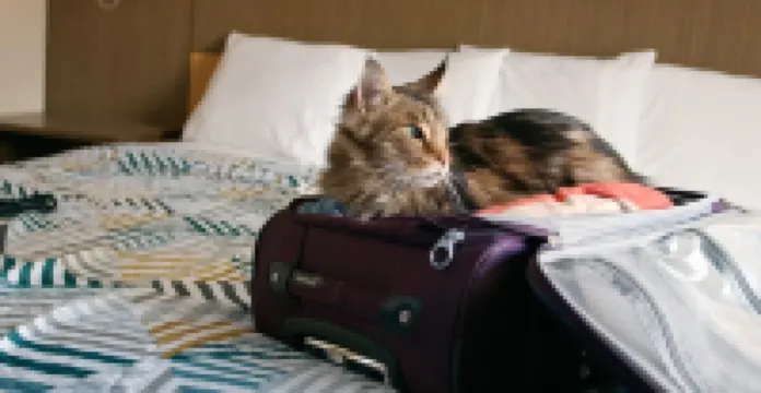 Studio 6 Suites Chattanooga, TN - Lookout Mtn.