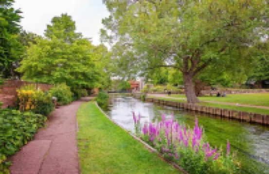 The Best Apartment in Canterbury