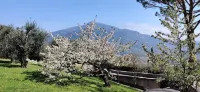 Loup Castel Boutique Hotel B&B Hotels in Opio