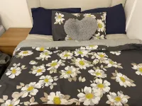 Charming 6-Bed Apartment in Wembley Area Hotels in Brent