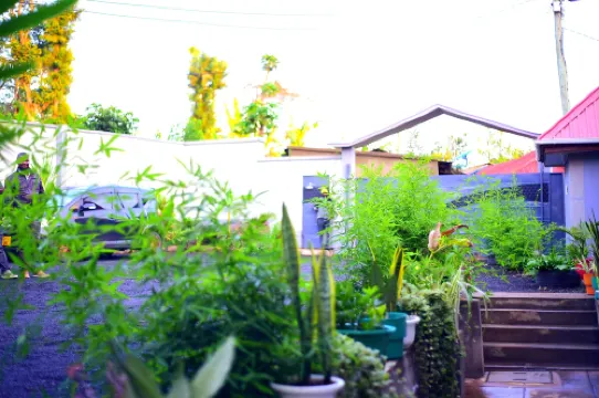 사파리 파크 하우스