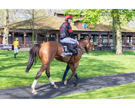 Welcoming Spacious 2-Bedroom House in St Helens Отели рядом с достопримечательностью «Кобс»