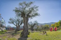 Hostal y Apartamento Rural Los Naranjos Các khách sạn ở Niguelas