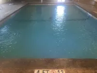 Comfort Suites - University - piscine