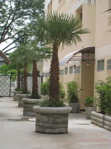 รูปภาพของราฟาเอล แมนชั่น