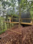 Wolf Pup- A Frame- Hillside Tiny Cottage Wi-Fi Hotels in Campton
