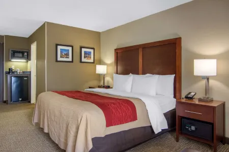 Comfort Inn Sandy Springs - Perimeter