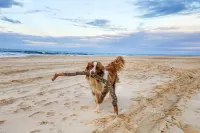 BIG4 Tasman Holiday Parks - Nambucca Heads Hotels in Nambucca Heads