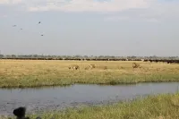 Xakanaka Mobile Camp