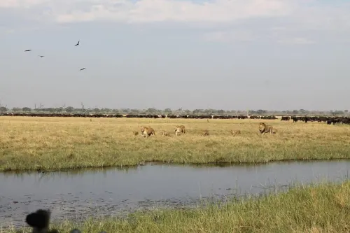 Xakanaka Mobile Camp