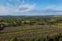 Dragon Orchard Retreat - Pet Friendly