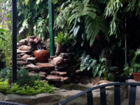 Hotel Alicante San Salvador Hotels in Antiguo Cuscatlán