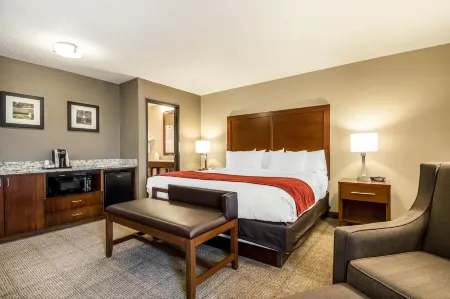 Comfort Inn Ottawa Starved Rock Area Отели в г. Нейплейт