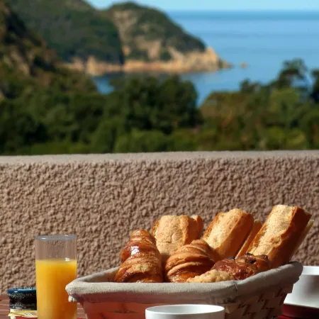 Capo d'Orto - Porto - Corse
