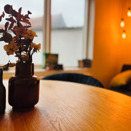 Cozy Flats Silkeborg - S3 Hotels in Silkeborg