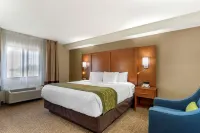 Comfort Inn & Suites - Near Robins Air Force Base Main Gate