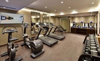 Bahrain Airport Hotel Airside Hotel for Transiting and Departing Passengers Only