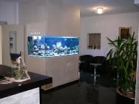 Hotel Lido Hotels in Deiva Marina