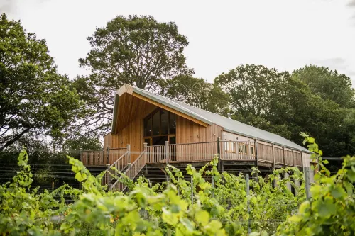 Oastbrook Glamping Hotels in Rother District