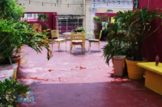 ฟรีสปิริตโฮสเทลกัวดาลาฮารา โรงแรมใน