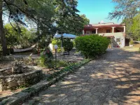 B&B Villa Dan - Rooms in Monopoli - B&B