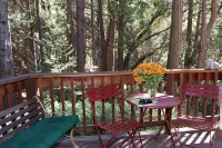 McCaffrey House Bed and Breakfast Inn Hotels in Twain Harte