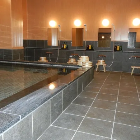 Oustat International Hotel Tajimi