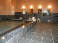 Oustat International Hotel Tajimi Hotels in Toki