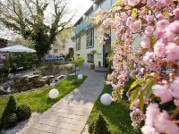 هوتل روسنفيلا Hotels near آيغن
