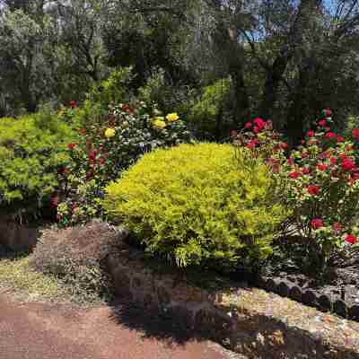 Emu Point Motel Hotel Exterior