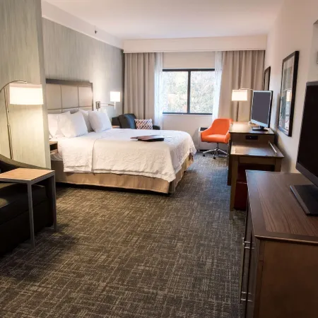 Hampton Inn Albany-Western Ave/University Area