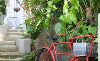 Little Forest Guest House