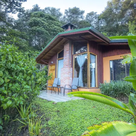 Toucanet Lodge