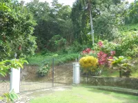 Pearl Ocean Villa Hotels in 
