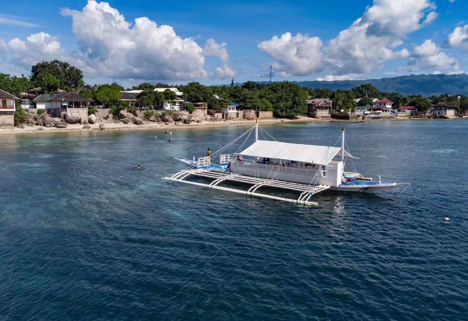 4. 쿠오 바디스 다..