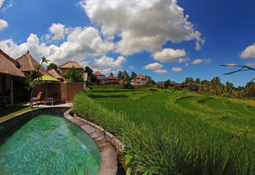 메사리 호텔 우붓