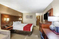 Comfort Inn Airport West - bar