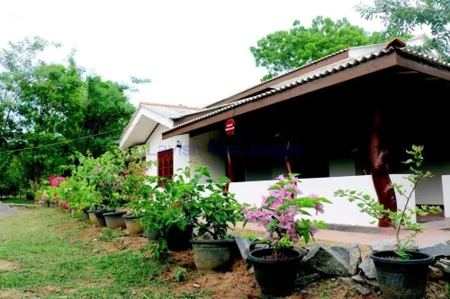 Lavish Eco Jungle Hotel a Wirawila