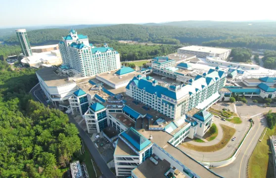 大雪松酒店-福克斯伍茲