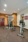 Comfort Suites Old Town Spring - Kuntosalit
