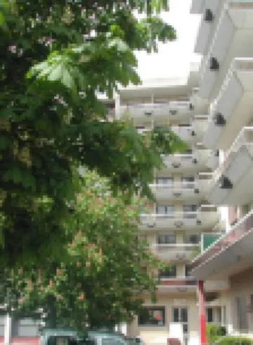 Appart'Hotel les Palatines Hotels near Castle de Rochetaillee