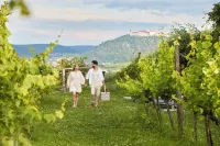 Steigenberger Hotel and Spa, Krems