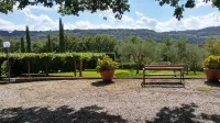 La Locanda Della Chiocciola فنادق في Attigliano
