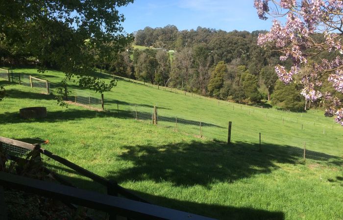 Emerald Ridge