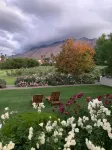 Montagu Vines Guesthouse Hotels in Montagu