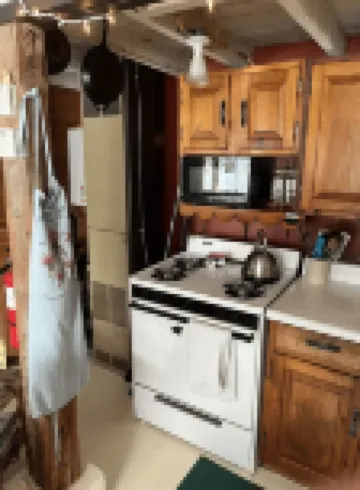 Dream Cabin in charming Hyde Park with WiFi access