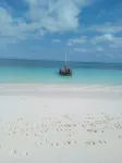Mango Lodge Msambweni Hotels in Мсамбуэни
