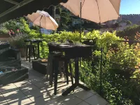 Skylark Bed & Breakfast